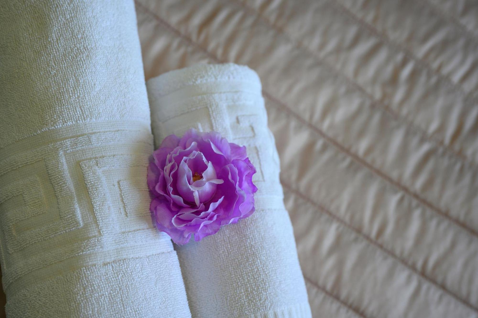 Alkion Hotel スタロス 部屋 写真